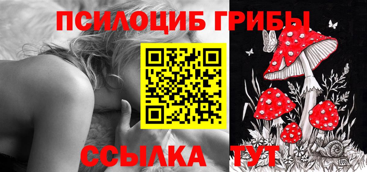 Галлюциногенные грибы GOLDEN TEACHER  Вход с VPN  Галлюциногенные грибы Psilocybine cubensis  Рассказово 